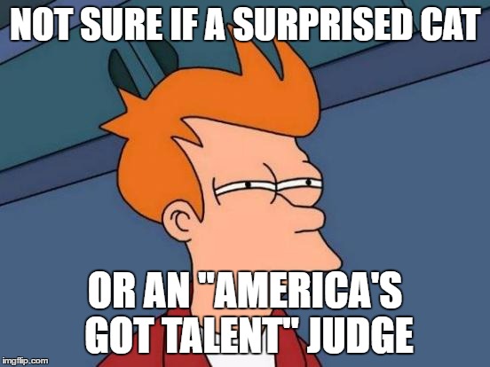 Futurama Fry Meme | NOT SURE IF A SURPRISED CAT OR AN "AMERICA'S GOT TALENT" JUDGE | image tagged in memes,futurama fry | made w/ Imgflip meme maker