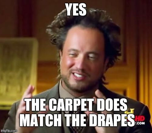 What we're all thinking | YES; THE CARPET DOES MATCH THE DRAPES | image tagged in memes,ancient aliens | made w/ Imgflip meme maker