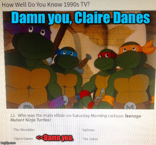Just Imagine: Somebody Thought That Was A Possible Answer... | Damn you, Claire Danes; <<Damn you. | image tagged in memes,teenage mutant ninja turtles,quizzes,fails | made w/ Imgflip meme maker
