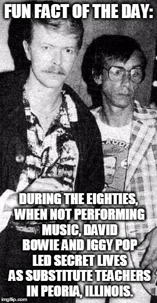 FUN FACTS! | FUN FACT OF THE DAY:; DURING THE EIGHTIES, WHEN NOT PERFORMING MUSIC, DAVID BOWIE AND IGGY POP LED SECRET LIVES AS SUBSTITUTE TEACHERS IN PEORIA, ILLINOIS. | image tagged in david bowie,iggy pop,rock and roll,humor | made w/ Imgflip meme maker