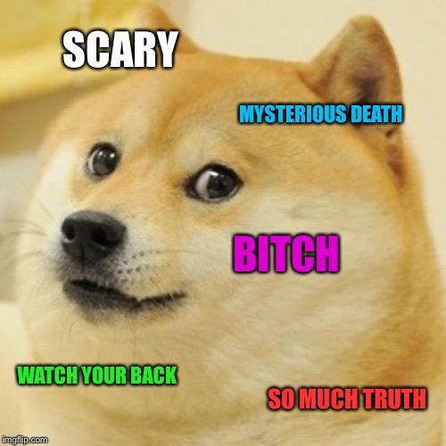 Doge Meme | SCARY MYSTERIOUS DEATH B**CH WATCH YOUR BACK SO MUCH TRUTH | image tagged in memes,doge | made w/ Imgflip meme maker