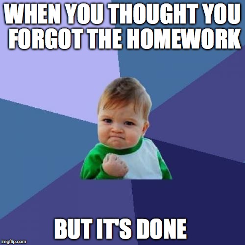 Success Kid Meme | WHEN YOU THOUGHT YOU FORGOT THE HOMEWORK; BUT IT'S DONE | image tagged in memes,success kid | made w/ Imgflip meme maker