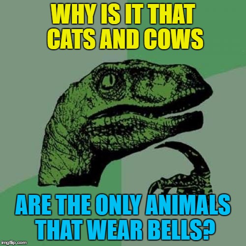 I'm sure there's an obvious one I'm forgetting... | WHY IS IT THAT CATS AND COWS; ARE THE ONLY ANIMALS THAT WEAR BELLS? | image tagged in memes,philosoraptor,animals,cats,cows,bells | made w/ Imgflip meme maker