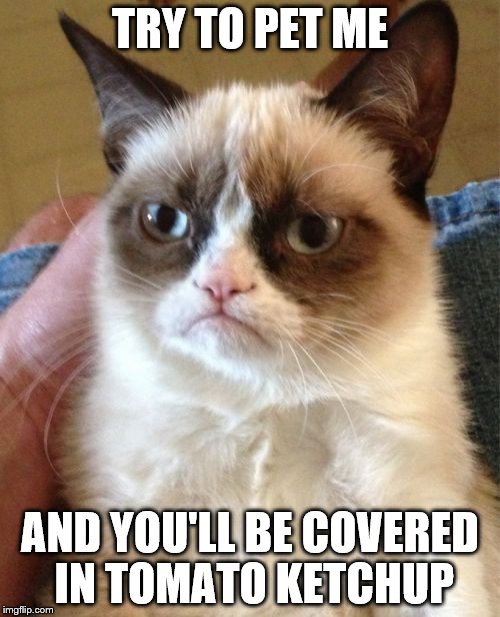 Grumpy Cat Meme | TRY TO PET ME; AND YOU'LL BE COVERED IN TOMATO KETCHUP | image tagged in memes,grumpy cat | made w/ Imgflip meme maker