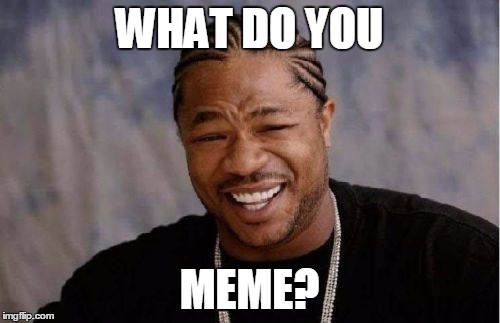 Yo Dawg Heard You Meme | WHAT DO YOU MEME? | image tagged in memes,yo dawg heard you | made w/ Imgflip meme maker