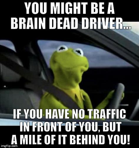 Kermit driving | YOU MIGHT BE A BRAIN DEAD DRIVER... IF YOU HAVE NO TRAFFIC IN FRONT OF YOU, BUT A MILE OF IT BEHIND YOU! | image tagged in kermit driving | made w/ Imgflip meme maker