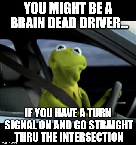 Kermit driving | YOU MIGHT BE A BRAIN DEAD DRIVER... IF YOU HAVE A TURN SIGNAL ON AND GO STRAIGHT THRU THE INTERSECTION | image tagged in kermit driving | made w/ Imgflip meme maker