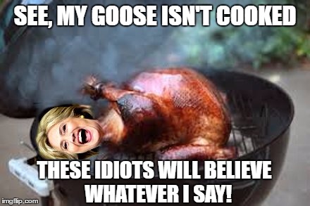 SEE, MY GOOSE ISN'T COOKED; THESE IDIOTS WILL BELIEVE  WHATEVER I SAY! | image tagged in clinton,hillaryhillary clinton,cooked,hillary done | made w/ Imgflip meme maker