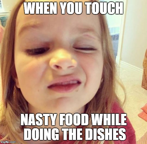 Disgusted Chloe | WHEN YOU TOUCH; NASTY FOOD WHILE DOING THE DISHES | image tagged in side-eyeing chloe,memes,dishes | made w/ Imgflip meme maker