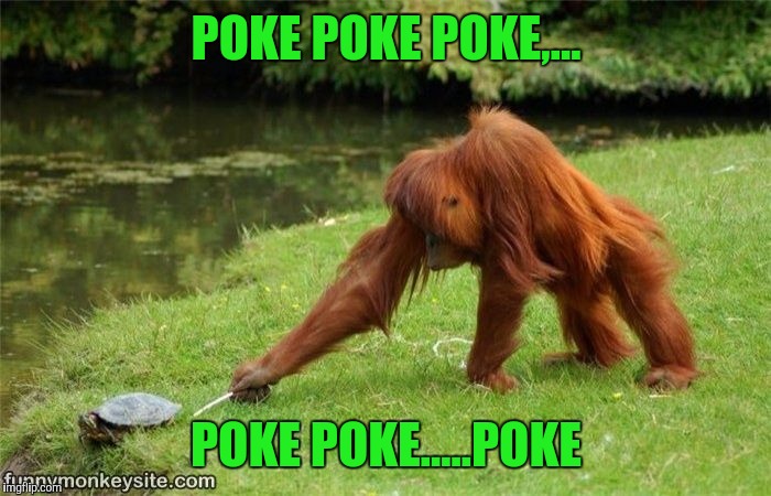 POKE POKE POKE,... POKE POKE.....POKE | made w/ Imgflip meme maker