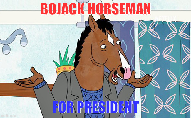 Bojack Horseman | BOJACK HORSEMAN; FOR PRESIDENT | image tagged in bojack horseman | made w/ Imgflip meme maker