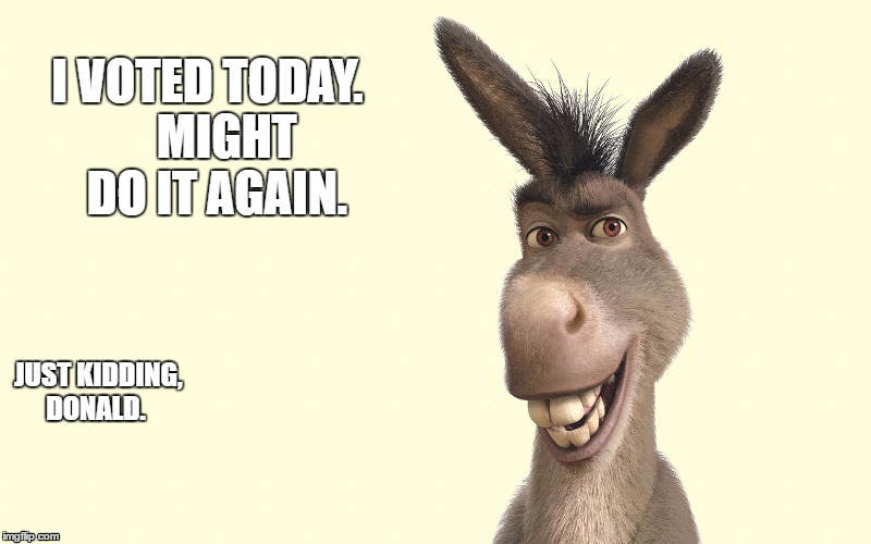 Donkey | I VOTED TODAY.
  
MIGHT DO IT AGAIN. JUST KIDDING, DONALD. | image tagged in donkey | made w/ Imgflip meme maker