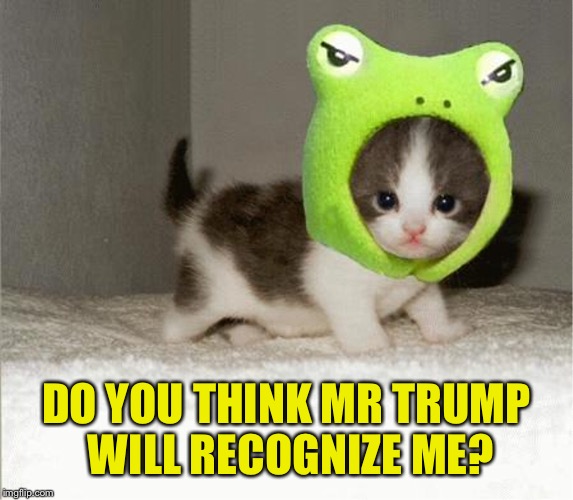 DO YOU THINK MR TRUMP WILL RECOGNIZE ME? | made w/ Imgflip meme maker
