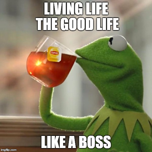 But That's None Of My Business Meme | LIVING LIFE THE GOOD LIFE; LIKE A BOSS | image tagged in memes,but thats none of my business,kermit the frog | made w/ Imgflip meme maker
