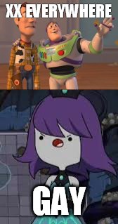 XX EVERYWHERE; GAY | image tagged in x x everywhere | made w/ Imgflip meme maker
