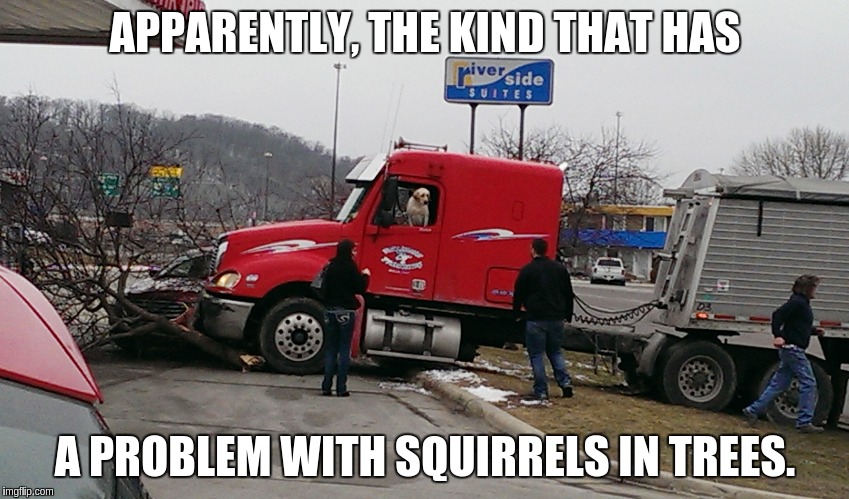 raydog and truckin | APPARENTLY, THE KIND THAT HAS A PROBLEM WITH SQUIRRELS IN TREES. | image tagged in raydog and truckin | made w/ Imgflip meme maker