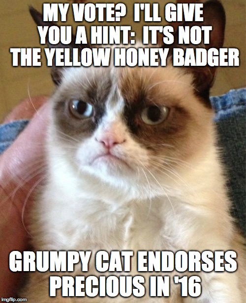 Grumpy Cat | MY VOTE?  I'LL GIVE YOU A HINT:  IT'S NOT THE YELLOW HONEY BADGER; GRUMPY CAT ENDORSES PRECIOUS IN '16 | image tagged in memes,grumpy cat,precious | made w/ Imgflip meme maker