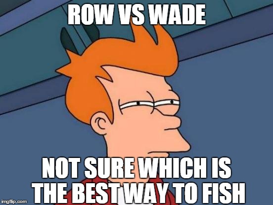 Maybe the next president will decide | ROW VS WADE; NOT SURE WHICH IS THE BEST WAY TO FISH | image tagged in memes,futurama fry | made w/ Imgflip meme maker