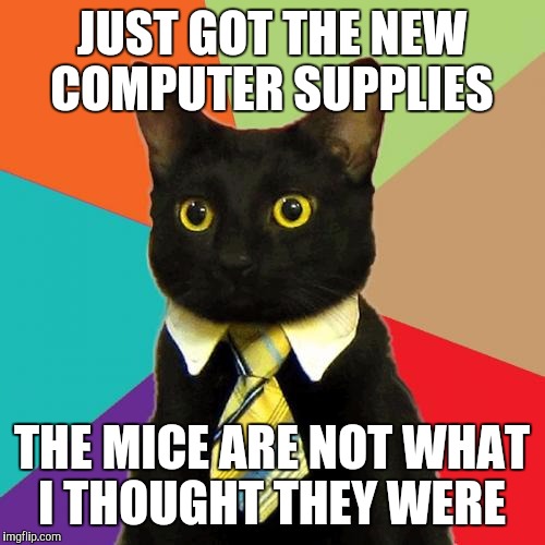 Business Cat | JUST GOT THE NEW COMPUTER SUPPLIES; THE MICE ARE NOT WHAT I THOUGHT THEY WERE | image tagged in memes,business cat | made w/ Imgflip meme maker