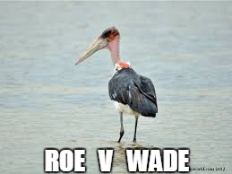 ROE   V   WADE | made w/ Imgflip meme maker