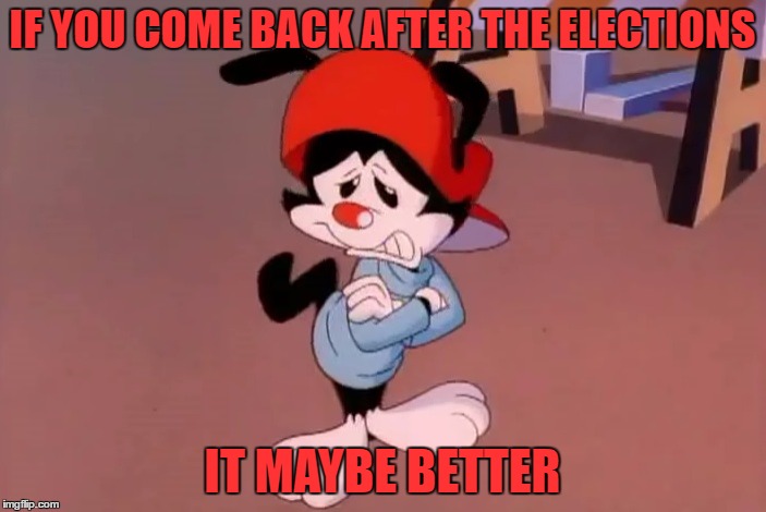 wakko | IF YOU COME BACK AFTER THE ELECTIONS IT MAYBE BETTER | image tagged in wakko | made w/ Imgflip meme maker
