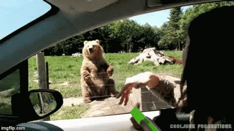 image tagged in gifs | made w/ Imgflip video-to-gif maker