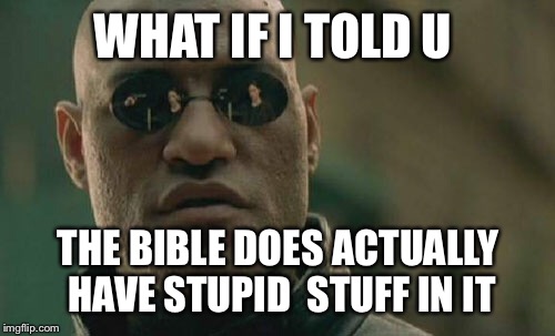 Matrix Morpheus Meme | WHAT IF I TOLD U THE BIBLE DOES ACTUALLY HAVE STUPID  STUFF IN IT | image tagged in memes,matrix morpheus | made w/ Imgflip meme maker