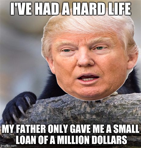 Poor Donald | I'VE HAD A HARD LIFE; MY FATHER ONLY GAVE ME A SMALL LOAN OF A MILLION DOLLARS | image tagged in confession bear,donald trump | made w/ Imgflip meme maker
