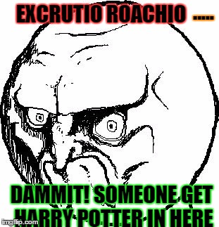 dem roaches | ..... EXCRUTIO ROACHIO; DAMMIT! SOMEONE GET HARRY POTTER IN HERE | image tagged in no rage face,cockroach | made w/ Imgflip meme maker