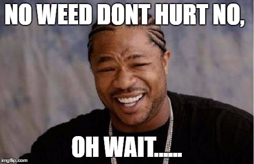 Yo Dawg Heard You Meme | NO WEED DONT HURT NO, OH WAIT...... | image tagged in memes,yo dawg heard you | made w/ Imgflip meme maker