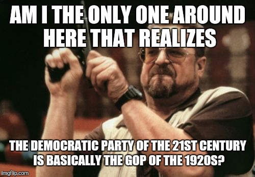 Am I The Only One Around Here Meme | AM I THE ONLY ONE AROUND HERE THAT REALIZES THE DEMOCRATIC PARTY OF THE 21ST CENTURY IS BASICALLY THE GOP OF THE 1920S? | image tagged in memes,am i the only one around here | made w/ Imgflip meme maker