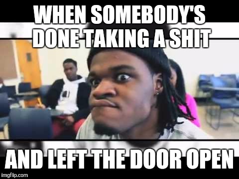 Meme 5 | WHEN SOMEBODY'S DONE TAKING A SHIT; AND LEFT THE DOOR OPEN | image tagged in funny | made w/ Imgflip meme maker