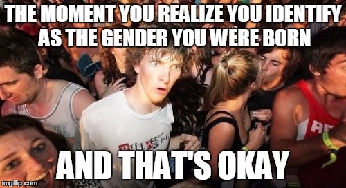 Stop STR8 Hate ! | THE MOMENT YOU REALIZE YOU IDENTIFY AS THE GENDER YOU WERE BORN; AND THAT'S OKAY | image tagged in memes,sudden clarity clarence | made w/ Imgflip meme maker