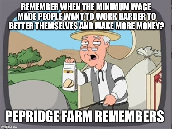 pepridge farm rembers | REMEMBER WHEN THE MINIMUM WAGE MADE PEOPLE WANT TO WORK HARDER TO BETTER THEMSELVES AND MAKE MORE MONEY? PEPRIDGE FARM REMEMBERS | image tagged in pepridge farm rembers | made w/ Imgflip meme maker