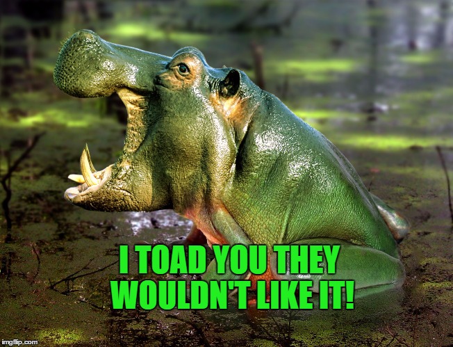 I TOAD YOU THEY WOULDN'T LIKE IT! | made w/ Imgflip meme maker