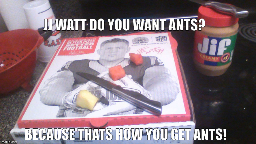 JJ WATT DO YOU WANT ANTS? BECAUSE THATS HOW YOU GET ANTS! | image tagged in jj watt,houston texans,papa johns,archer,ants | made w/ Imgflip meme maker