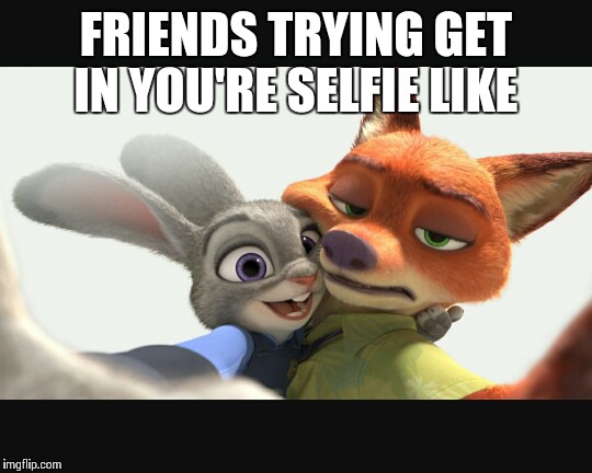 Zootopia selfies  | FRIENDS TRYING GET IN YOU'RE SELFIE LIKE | image tagged in zootopia selfies | made w/ Imgflip meme maker