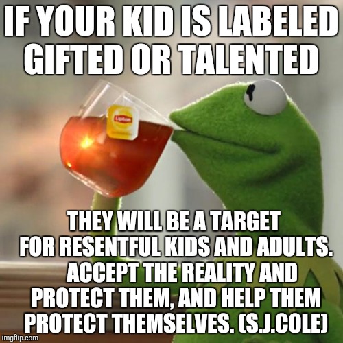 But That's None Of My Business Meme | IF YOUR KID IS LABELED GIFTED OR TALENTED; THEY WILL BE A TARGET FOR RESENTFUL KIDS AND ADULTS.    ACCEPT THE REALITY AND PROTECT THEM, AND HELP THEM PROTECT THEMSELVES. (S.J.COLE) | image tagged in memes,but thats none of my business,kermit the frog | made w/ Imgflip meme maker