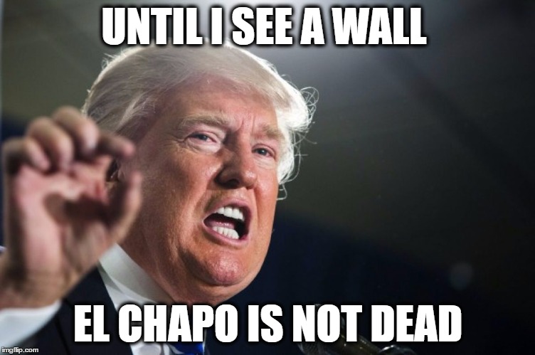 donald trump | UNTIL I SEE A WALL; EL CHAPO IS NOT DEAD | image tagged in donald trump | made w/ Imgflip meme maker