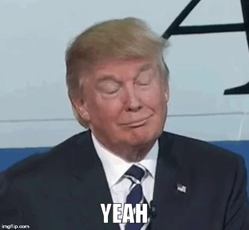 Trump Nod | YEAH | image tagged in trump nod | made w/ Imgflip meme maker