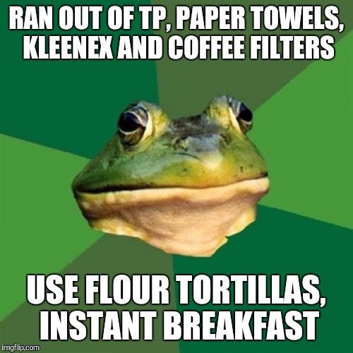 Foul Bachelor Frog Meme | RAN OUT OF TP, PAPER TOWELS, KLEENEX AND COFFEE FILTERS; USE FLOUR TORTILLAS, INSTANT BREAKFAST | image tagged in memes,foul bachelor frog | made w/ Imgflip meme maker