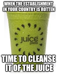 WHEN THE ESTABLISHMENT IN YOUR COUNTRY IS ROTTEN; TIME TO CLEANSE IT OF THE JUICE | image tagged in juice | made w/ Imgflip meme maker
