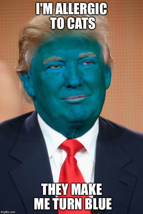I'M ALLERGIC TO CATS THEY MAKE ME TURN BLUE | image tagged in blue trump | made w/ Imgflip meme maker