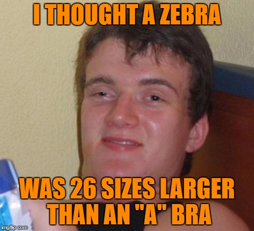 My Dumb Meme Submission ! | I THOUGHT A ZEBRA; WAS 26 SIZES LARGER THAN AN "A" BRA | image tagged in memes,10 guy | made w/ Imgflip meme maker