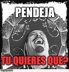 Pendeja | image tagged in pendeja,sombrero man,happy mexican,quesadilla | made w/ Imgflip meme maker