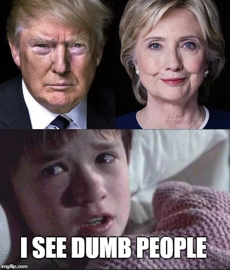 POTUS | I SEE DUMB PEOPLE | image tagged in usa,elections,dumb,people,funny,true | made w/ Imgflip meme maker