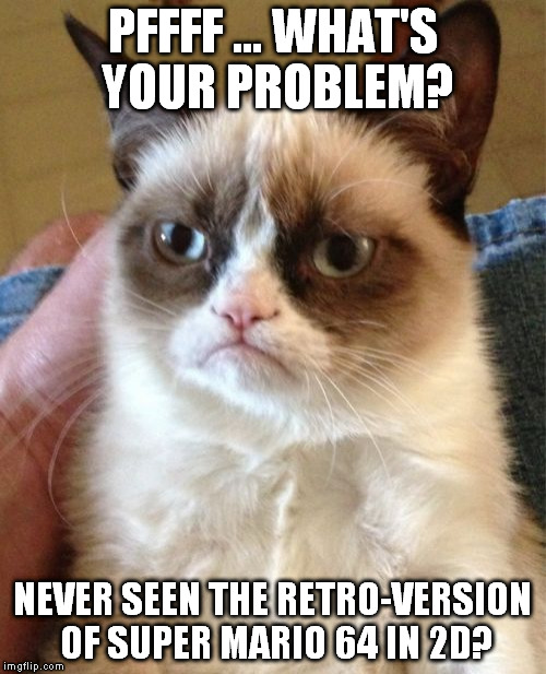 Grumpy Cat Meme | PFFFF ... WHAT'S YOUR PROBLEM? NEVER SEEN THE RETRO-VERSION OF SUPER MARIO 64 IN 2D? | image tagged in memes,grumpy cat | made w/ Imgflip meme maker