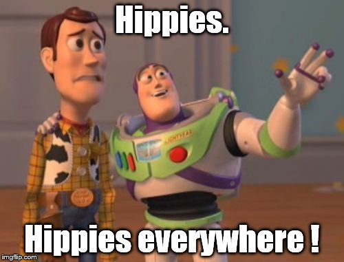X, X Everywhere Meme | Hippies. Hippies everywhere ! | image tagged in memes,x x everywhere | made w/ Imgflip meme maker