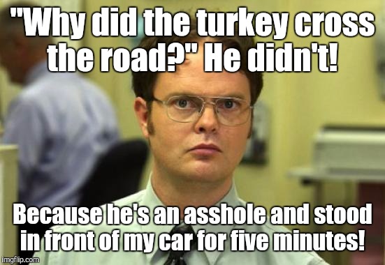 Dwight Schrute | "Why did the turkey cross the road?" He didn't! Because he's an asshole and stood in front of my car for five minutes! | image tagged in memes,dwight schrute | made w/ Imgflip meme maker