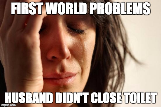 First World Problems Meme | FIRST WORLD PROBLEMS; HUSBAND DIDN'T CLOSE TOILET | image tagged in memes,first world problems | made w/ Imgflip meme maker